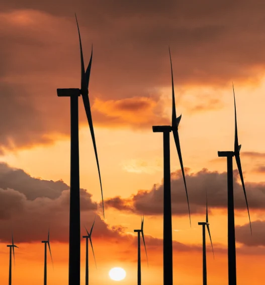 Turbinas eólicas al atardecer en un parque eólico que simboliza el uso de energías renovables