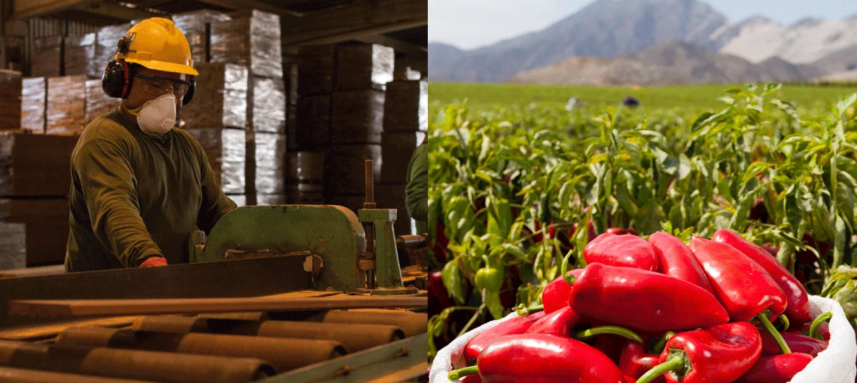 Manufactura Alimentos y Bebidas