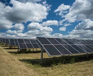 paneles solares