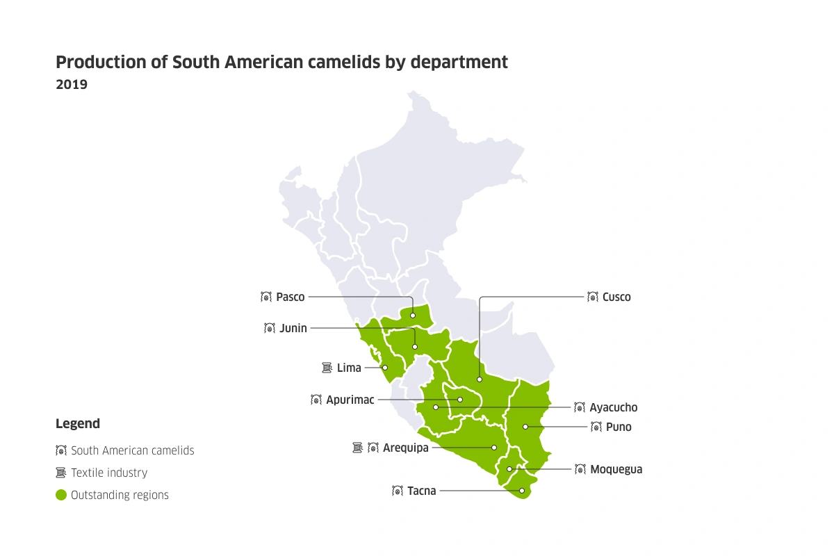 Map of Peru with the production of South American camelids by department