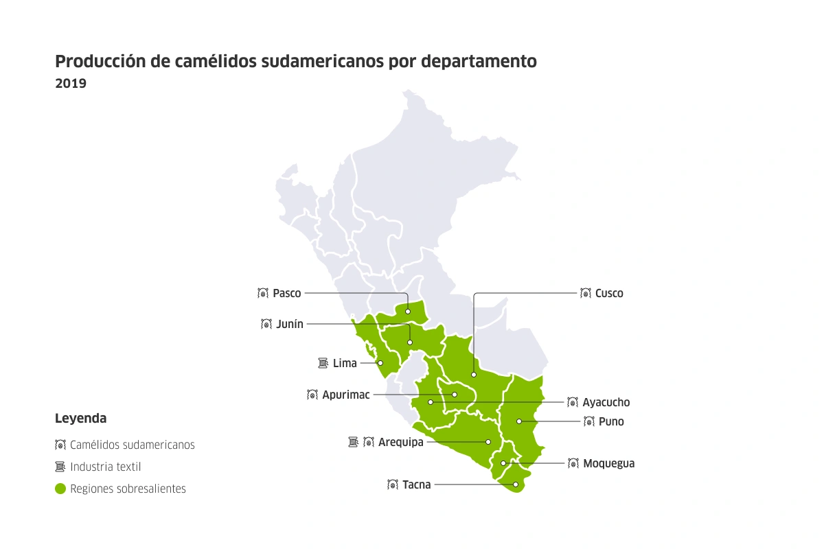 Mapa del Perú con la producción de camélidos sudamericanos por departamento