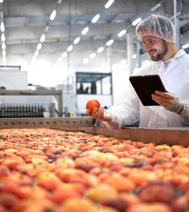 Profesional trabajando en el sector de industrias alimentarias