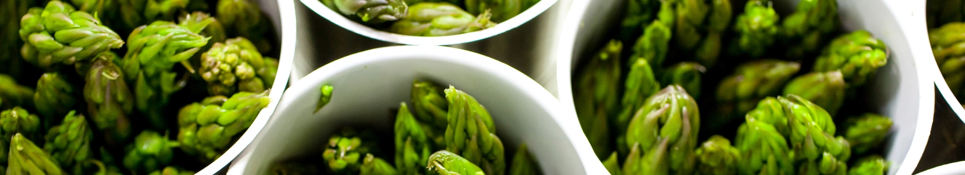 Fresh asparagus, symbolizing the importance of the food industries